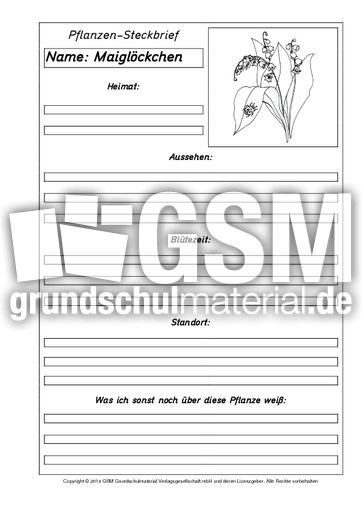Pflanzensteckbriefvorlage-Maiglöckchen-SW.pdf